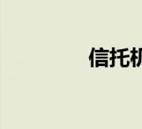 信托机构贷款(信托机构)