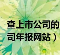 查上市公司的年报表在什么网上查(查上市公司年报网站)