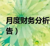 月度财务分析报告万能模板(月度财务分析报告)