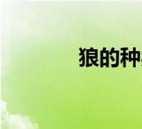 狼的种类及特点(狼的种类)