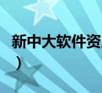 新中大软件资产负债表怎么生成(新中大软件)