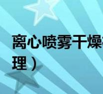 离心喷雾干燥机工作原理(喷雾干燥机工作原理)