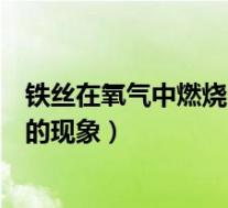 铁丝在氧气中燃烧的现象和化学方程式(铁丝在氧气中燃烧的现象)