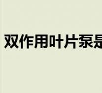 双作用叶片泵是定量泵还是变量泵(变量泵)