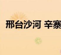 邢台沙河 辛寨村造纸厂污染(造纸厂污染)
