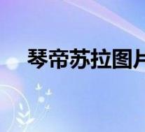 琴帝苏拉图片高清(琴帝漫画苏拉图片)