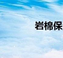 岩棉保温一体板厂家(岩棉)